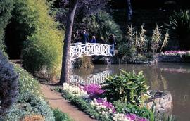 White bridge at botanical gardens