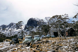 Cars parked at Carr Villa Chalet, at the top of the treeline, near walking tracks to Ben Lomond s...