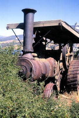 Rusting Burrell steam engine overgrown by hawthorn at Bridgewater 1970