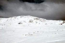 Snow skiing below Legges Tor