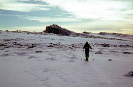 Skier on summit of Mount Field West