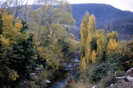 Autumn on the Lachlan River