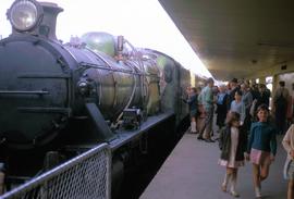 Steam train arrives at Hobart Station
