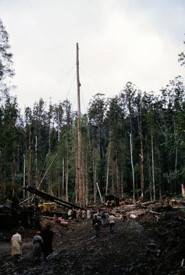 People gather in timber work site