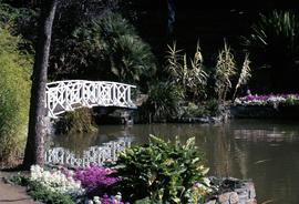 White bridge, reflected in water, at botanical gardens