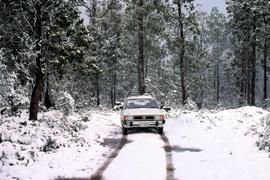 Car on road with snow near Tarraleah