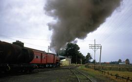 Steam locomotive with head of steam