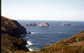 View of the Friars from shore near Pine Log Bight