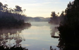 Misty morning at Cloister Lagoon