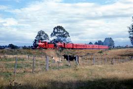 Centenary Train near Perth
