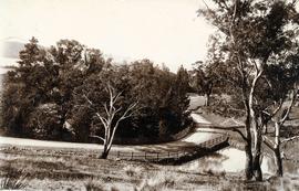 Lower Domain Road at back of Royal Botanical Gardens