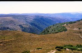 Eldon Range and Tyndall Range