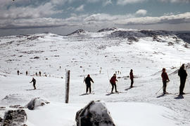 Snow skiers on Ben Lomond 1962
