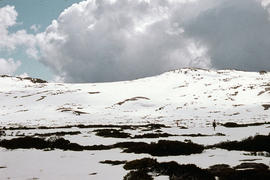 Snow cover on Ben Lomond plateau near summit 1960