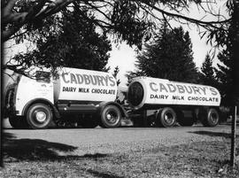 Large double milk tanker with Cadbury logo on sides