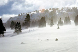 Snow near Mount Ophel