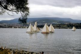 Boat race in Derwent River, 1954
