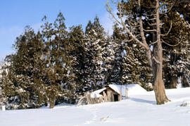 Alpine hut covered in snowdrift