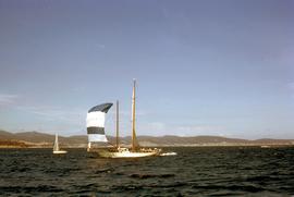 Astor at finish line of Sydney-Hobart Yacht Race
