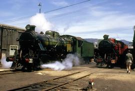 C Class steam locomotives at Hobart roundhouse