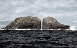 Gap between two Friars, off Bruny Island, 1962