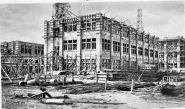 Block 8 Cadbury factory under construction