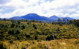 Mount Mueller from beyond Damper Inn hut