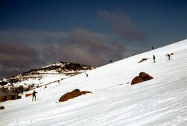 Skiing at Mount Field National Park