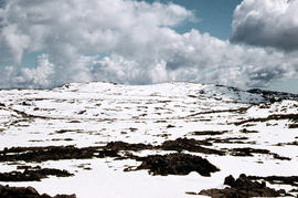 Summit from Ben Lomond plateau 1960