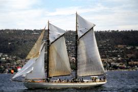 Derwent Hunter sailing off Sandy Bay