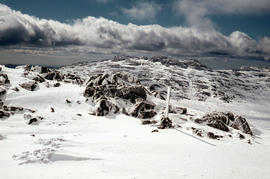 Snow cover on Ben Lomond Plateau
