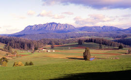 Farmland near Mount Roland