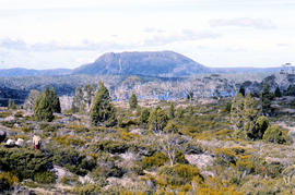 Panoramic view of Mount Rogoona