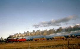 Goods train steams past Perth