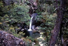 Waterfall on track to Meander Valley Falls
