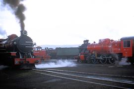 Trains at Hobart roundhouse