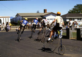 Penny farthing bicycle races at Evandale