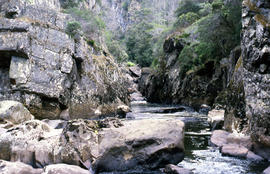 Rockpools in Leven Canyon