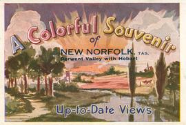 New Norfolk : postcard