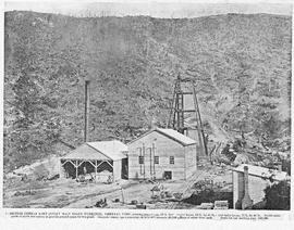 View of the British Zeehan Mine providing a general view including the Spray Main shaft workings,...