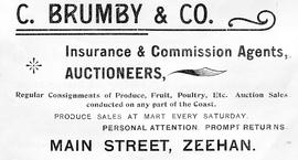 Advertising flyer for C Brumby & Co, auctioneers and insurance agents, Zeehan, Tasmania