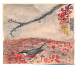 Sturt Bean Tree blossoms and Crimson chat
