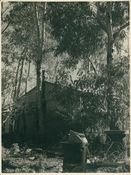 Photograph of Home Hut