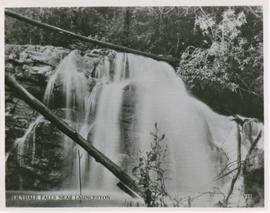 Lilydale Falls near Launceston