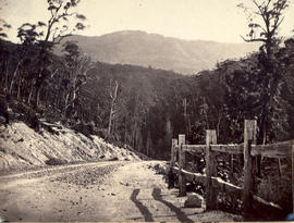 Huon Road with post and rail fence