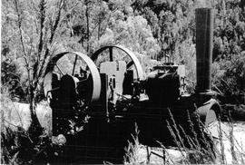 View of abandoned steam boiler in the bush at Crotty, Tasmania