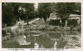 Postcard of Lily Pond, Botanical Gardens