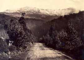 Huon Road with Mt Wellington in snow