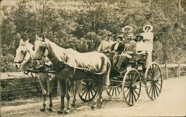 Horse drawn carriage with passengers