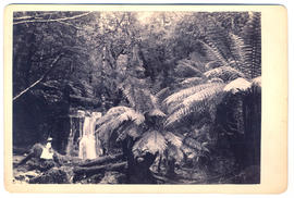 Young lady at Silver Falls, Fern Tree Bower